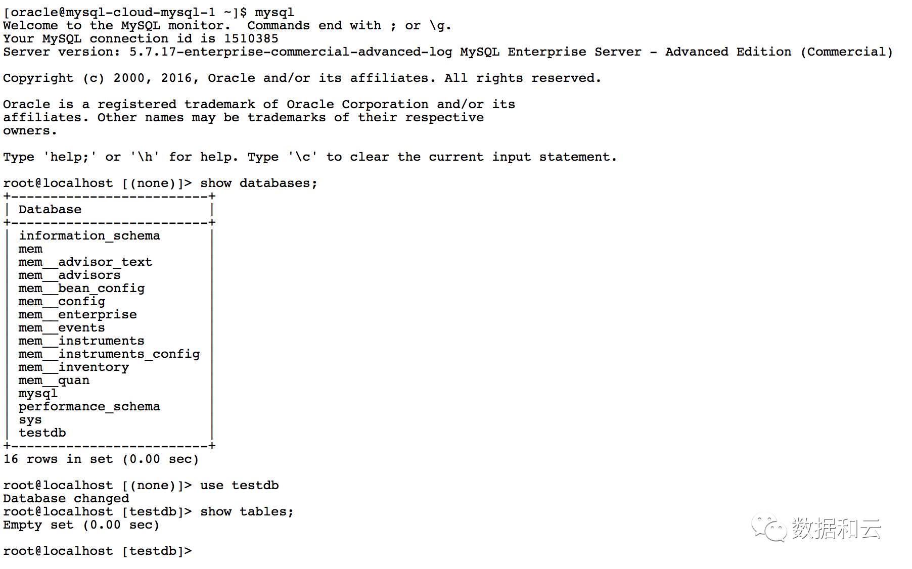 mysql