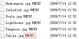 安天方案：新型“蠕虫”式勒索软件“wannacry”的应对措施插图(2)