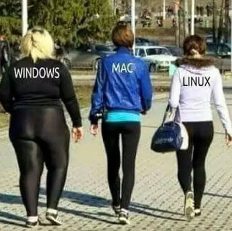 趣图：Windows、Mac、Linux 的背影插图