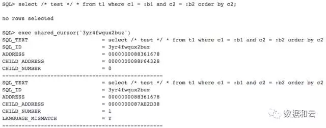 Oracle 数据库之最：你见过最高的 SQL Version 是多少？插图2