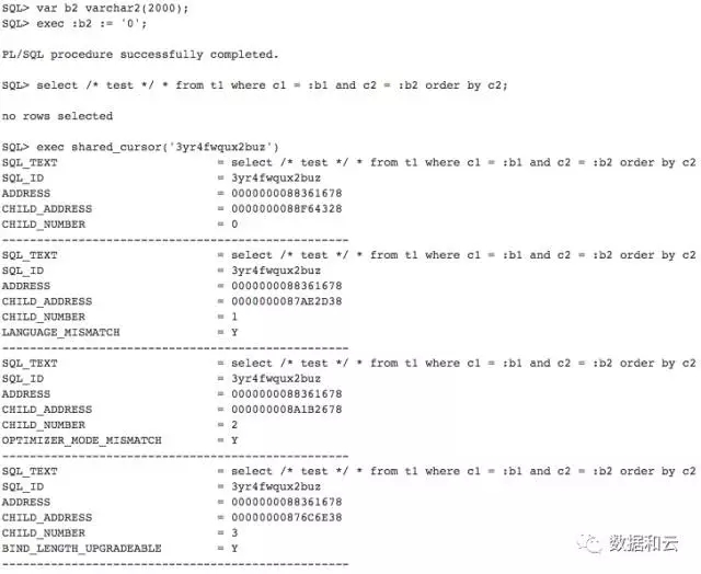 Oracle 数据库之最：你见过最高的 SQL Version 是多少？插图4