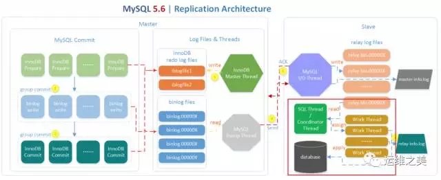 MySQL