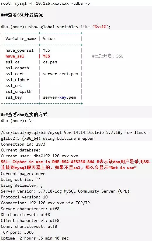 MySQL
