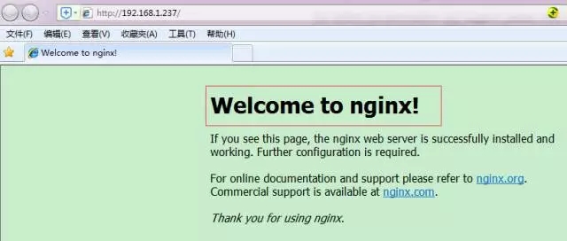 nginx