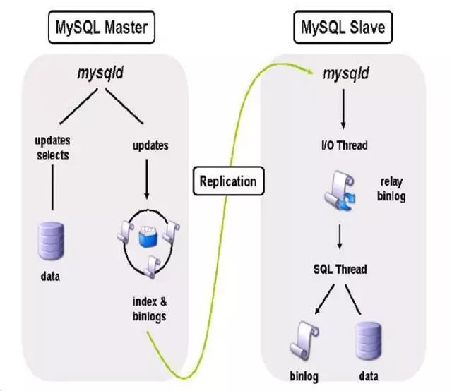 MySQL