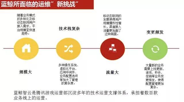 蓝鲸