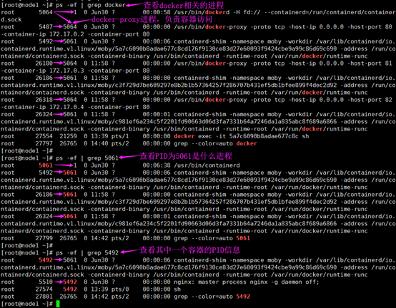 Docker-名称空间Namespace技术插图3