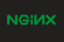 Nginx 最全操作总结插图