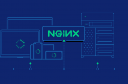 Nginx-v1.20.1最新版本下载缩略图