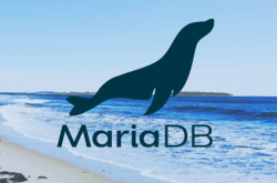 MariaDB Server 10.6.4提供下载缩略图