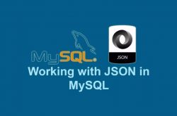 使用MySQL 8.0 操作 JSON 实践插图