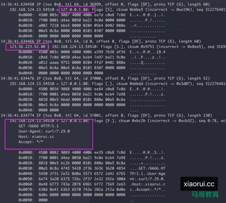 iptables redirect 劫持跳转引起 Go 服务故障插图