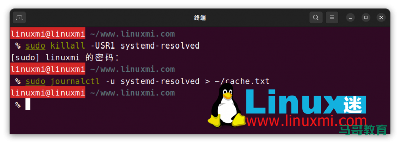 你真的会在 Linux 上查看和刷新 DNS 缓存吗？插图