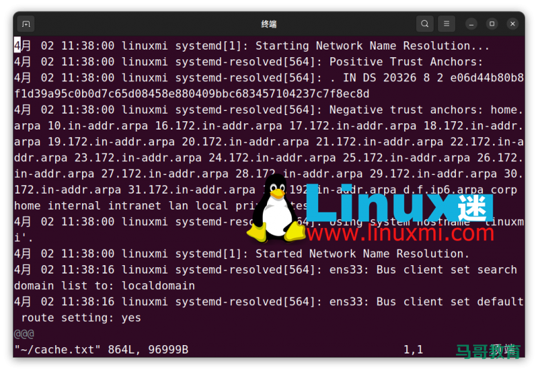 你真的会在 Linux 上查看和刷新 DNS 缓存吗？插图1