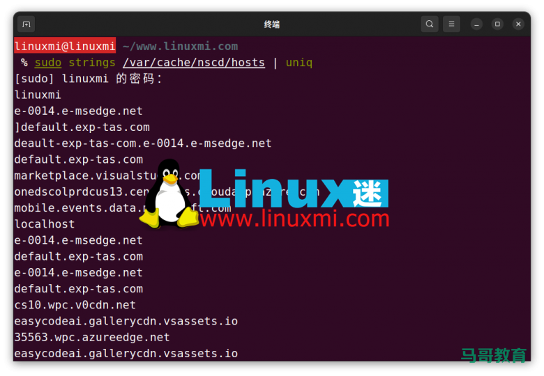 你真的会在 Linux 上查看和刷新 DNS 缓存吗？插图3