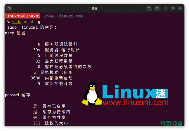 你真的会在 Linux 上查看和刷新 DNS 缓存吗？插图4