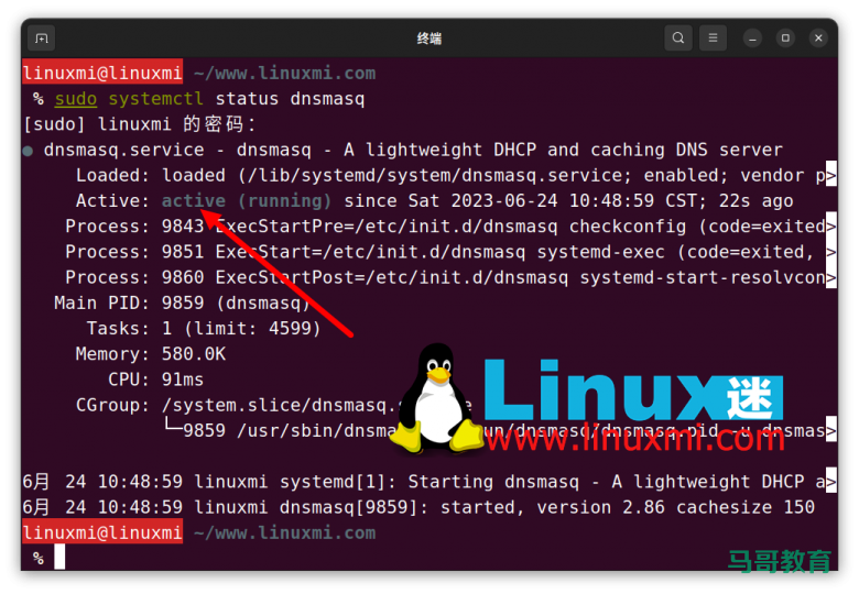 你真的会在 Linux 上查看和刷新 DNS 缓存吗？插图5