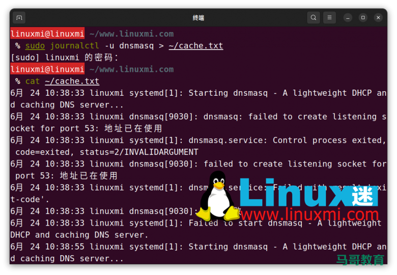你真的会在 Linux 上查看和刷新 DNS 缓存吗？插图7