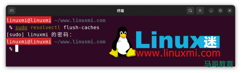 你真的会在 Linux 上查看和刷新 DNS 缓存吗？插图8