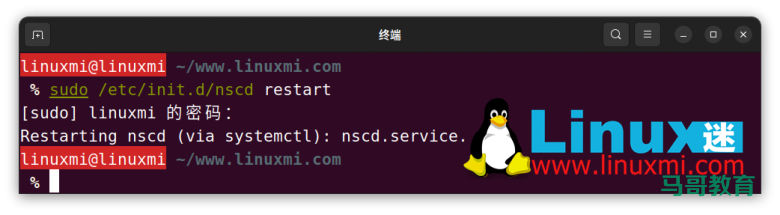 你真的会在 Linux 上查看和刷新 DNS 缓存吗？插图9