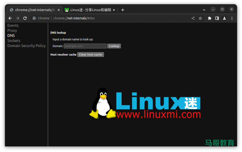 你真的会在 Linux 上查看和刷新 DNS 缓存吗？插图10