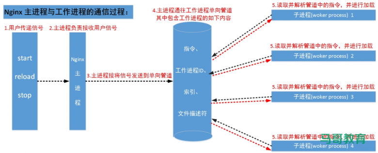资料分享|113页Nginx全能指南插图 资料分享|113页Nginx全能指南插图
