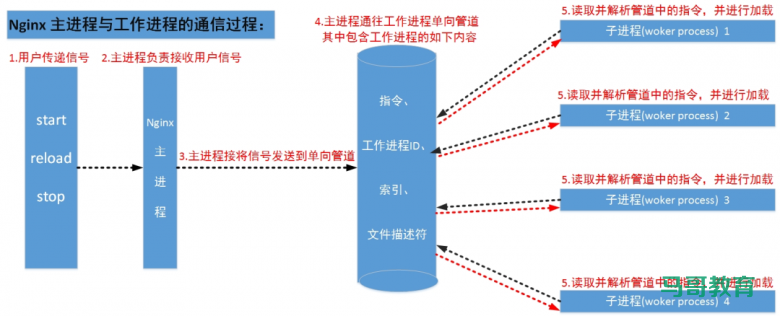 资料分享|113页Nginx全能指南插图