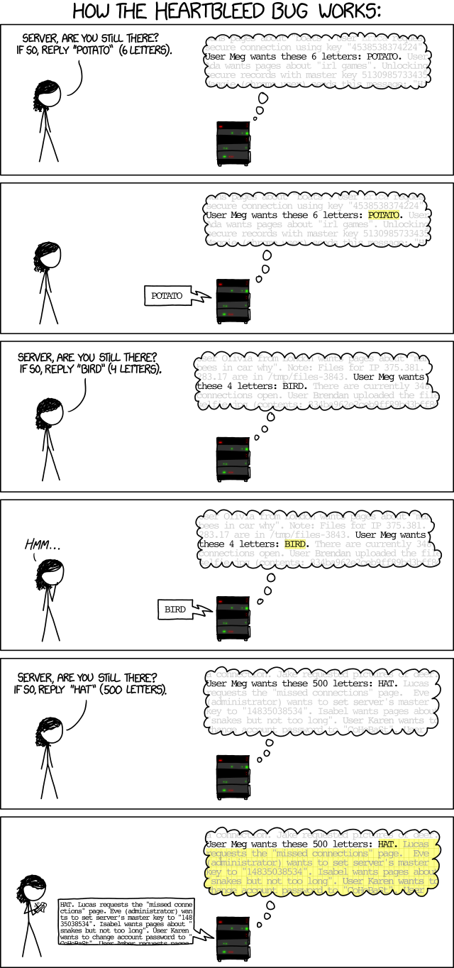 Heartbleed bug