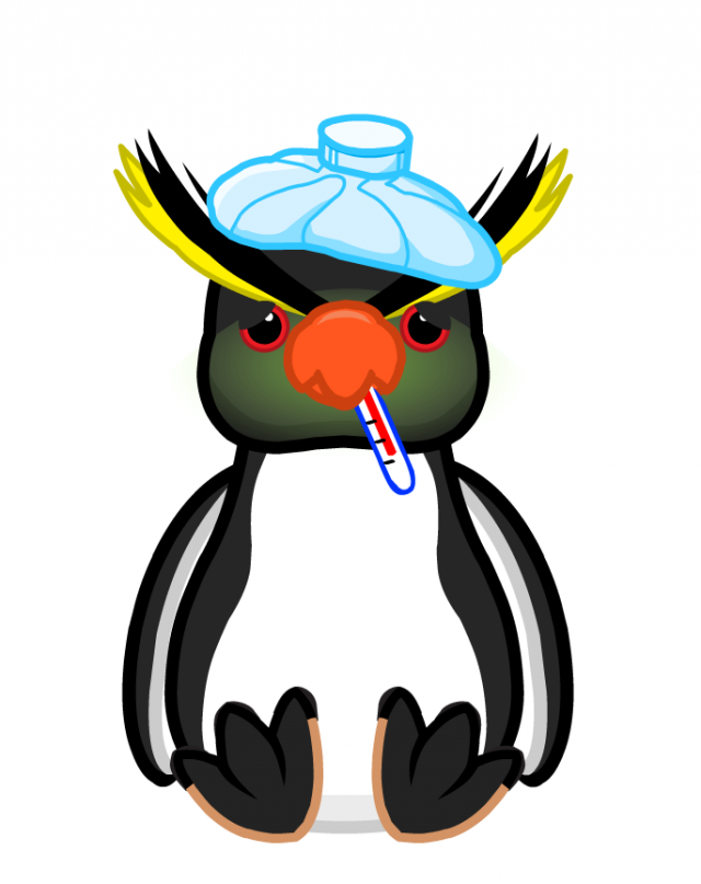 Linux安全漏洞