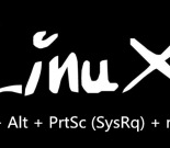 重启LINUX系统