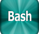 bash shell