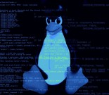 如何在Linux终端中知道你的公有IP?缩略图