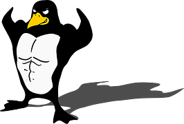 Linux