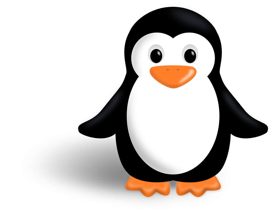 Linux