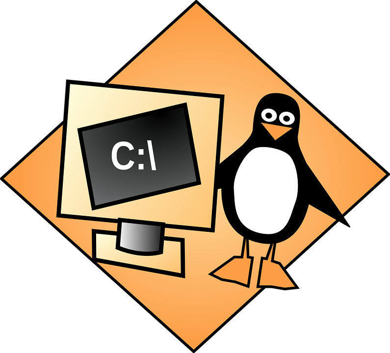 Linux Shell