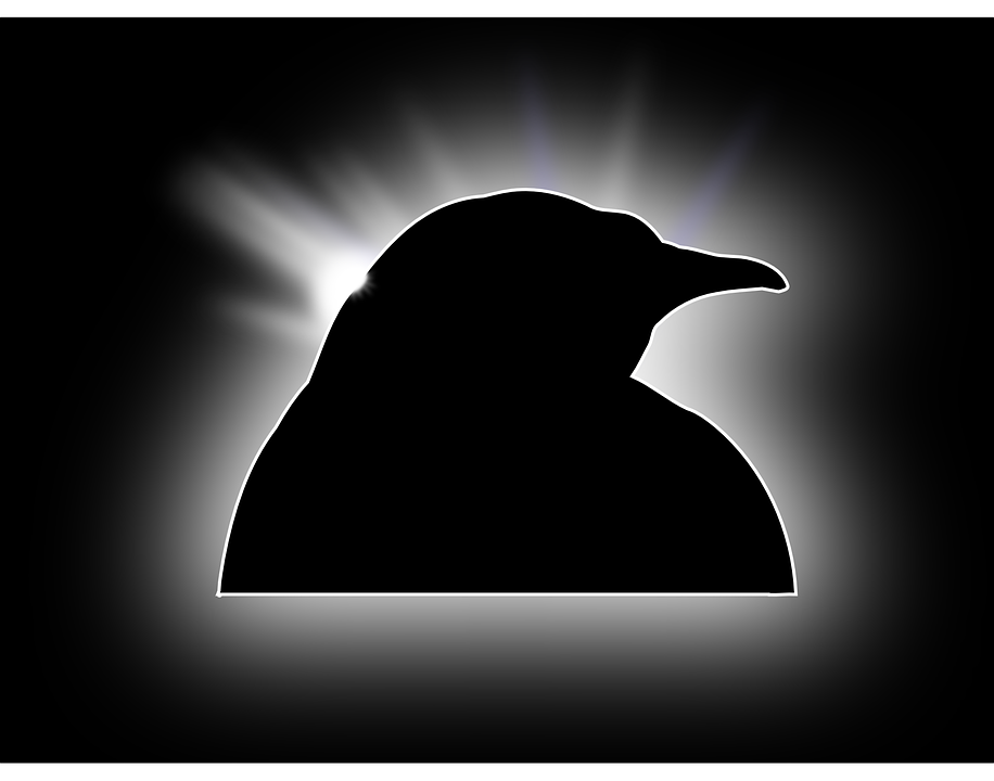 linux历史