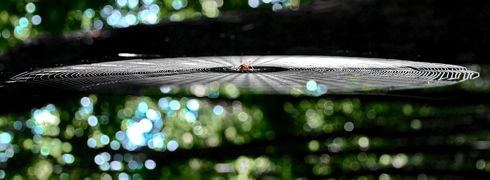 web