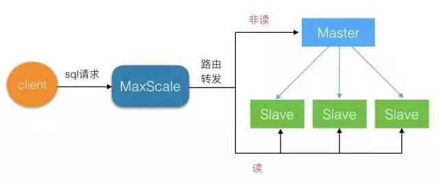 MySQL