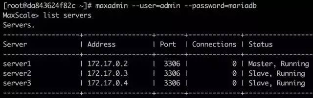 MySQL