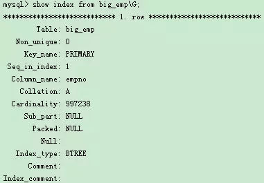 SHOW INDEX