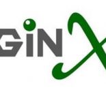 Nginx通过CORS实现跨域缩略图