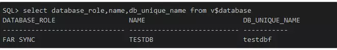 v$database