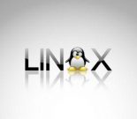 如何提高Linux下块设备IO的整体性能？缩略图