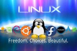 Linux系统下root用户执行passwd修改密码时报错Authentication token manipulation error缩略图