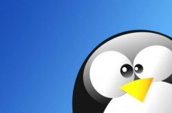 Linux系统的六个有关file使用的实例缩略图