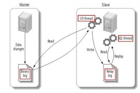 MySQL系列连载之主从复制原理插图1