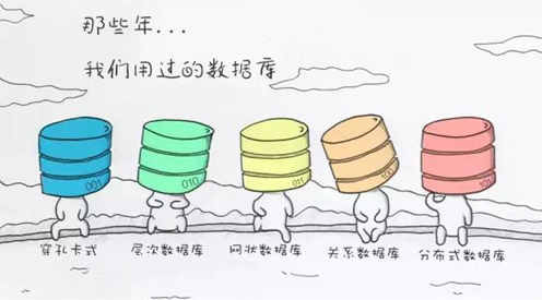 数据库，database