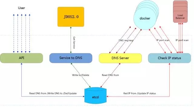ContainerDNS