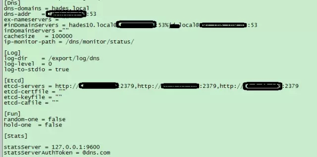 DNS Server 